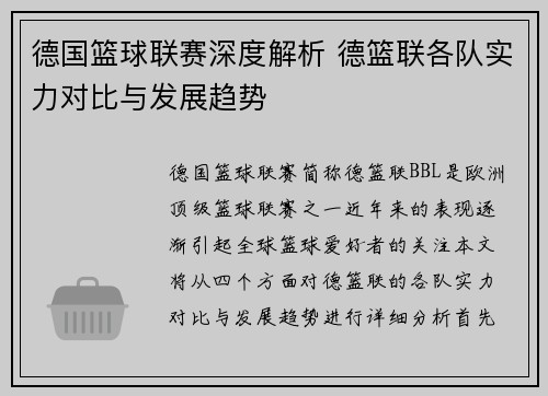 德国篮球联赛深度解析 德篮联各队实力对比与发展趋势