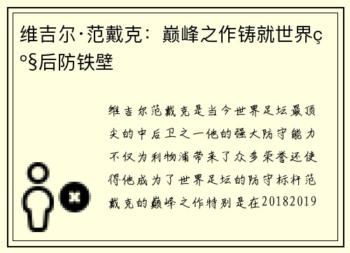 维吉尔·范戴克：巅峰之作铸就世界级后防铁壁